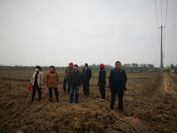 人大代表督查红卫村高标准农田建设情况2.jpg