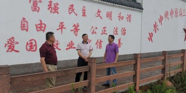 陈国祥赴大桥镇调研指导工作