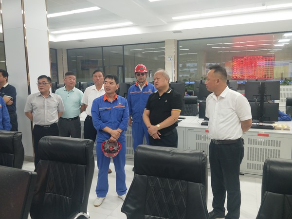 市人大常委会主任王图强来我县调研“两重”工作