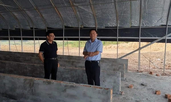 陈国祥赴桑涧镇督查秸秆禁烧工作和调研鹅产业发展