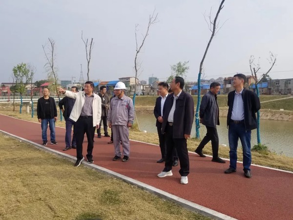 县人大常委会督查代表议案和重点建议办理情况