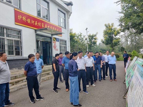 县人大检查组赴炉桥镇开展观摩调研活动（王雅婷） (2).jpg