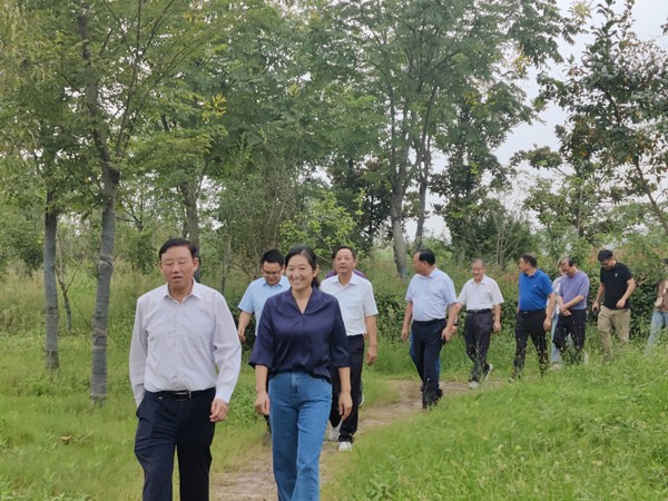 县人大检查组赴炉桥镇开展观摩调研活动（王雅婷） (3).jpg