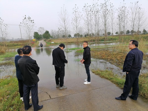 蒋集镇人大：修建便民桥  温暖百姓心.jpg