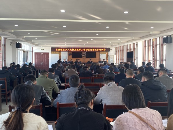 11月14日上午，永康镇召开县乡人大换届选举工作动员会暨业务培训会，全体镇干部、各村书记和相关业务人员参加本次会议。（李琳）.jpg