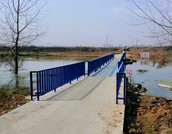 整治危桥隐患保障出行安全 (2).jpg