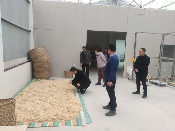 定远县大桥镇人大：发挥人大作用 助力民生工程2.jpg