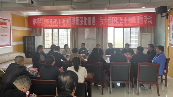 定远县炉桥镇开展人大代表集中履职暨&ldquo;我为群众办实事&rdquo;活动 (6)_副本.jpg