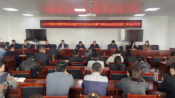 人大代表集中履职暨深化推进“我为群众办实事”主题活动定远县能仁乡启动仪式 (1).jpg