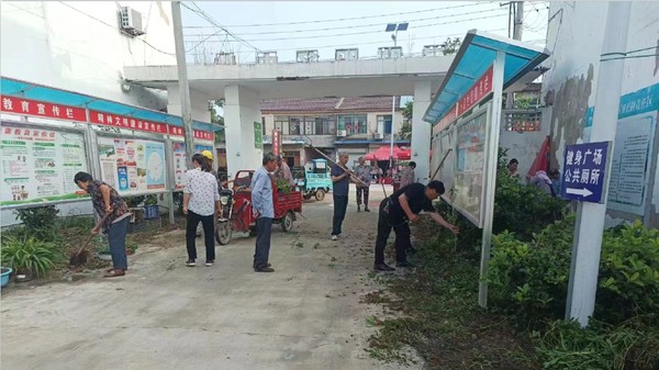 蒋集镇：人大代表带头干 人居环境再提升.jpg