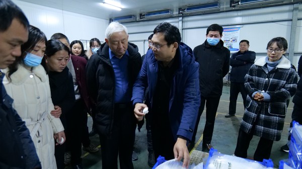 12.27县人大常委组织开展驻定市人大代表视察活动 (4).JPG