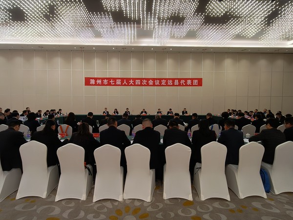11.04我县代表团参加市第七届人民代表大会第四次会议.jpg