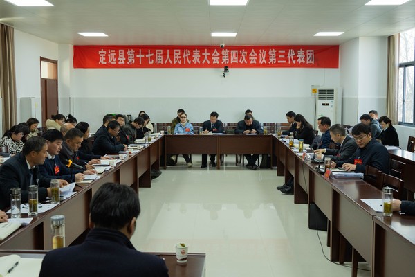 史新荣参加县十七届人大四次会议第三、第五代表团审议