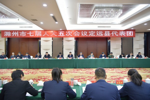 1.14定远代表团热议市人大常委会和“两院”工作报告.jpg
