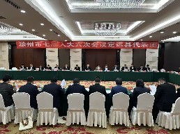 定远代表团审议七项报告的决议草案