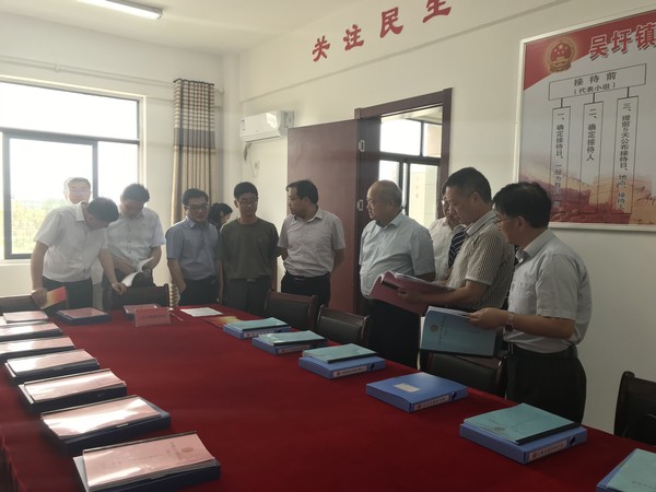 滁州市人大常委会到吴圩镇调研乡村振兴工作 (1).JPG