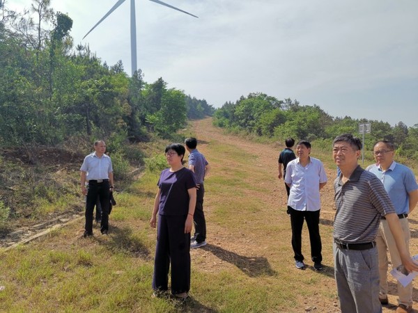 县人大调研我县林业改革发展工作情况